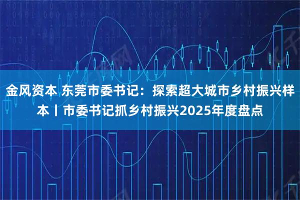 金风资本 东莞市委书记：探索超大城市乡村振兴样本丨市委书记抓乡村振兴2025年度盘点