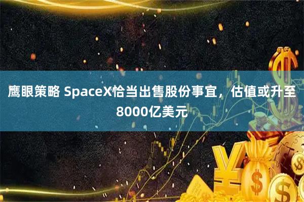 鹰眼策略 SpaceX恰当出售股份事宜，估值或升至8000亿美元